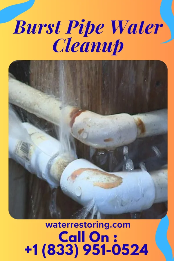 Burst Pipe Water Cleanup in Casar, NC